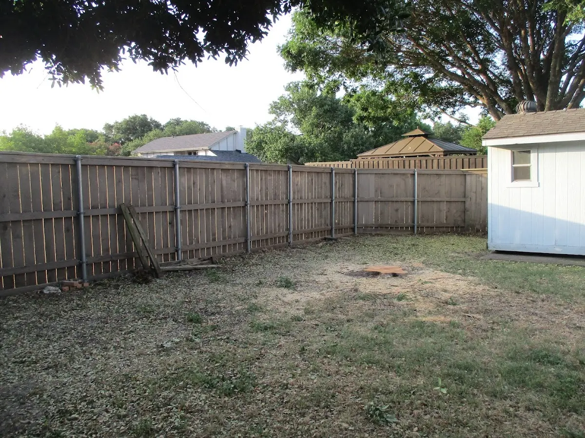 Cleared yard after professional tree removal in Port Neches