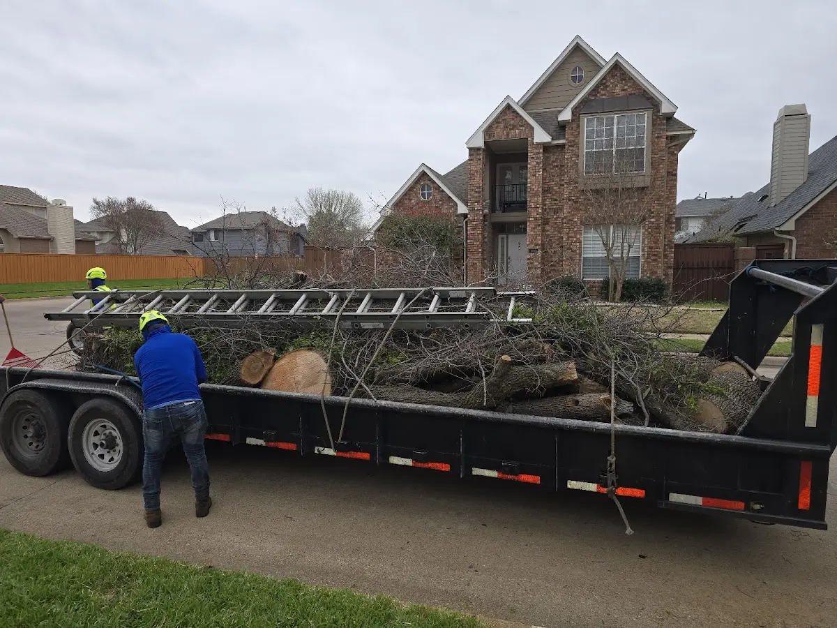 Expert Tree Removal with proper safety equipment in Port Neches
